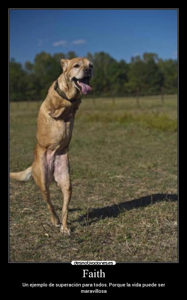 Faith - Un ejemplo de superación para todos. Porque la vida puede ser maravillosa