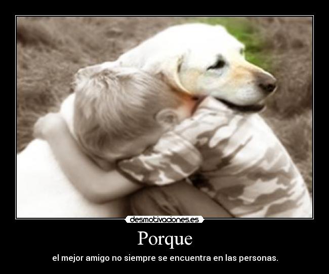 Porque - el mejor amigo no siempre se encuentra en las personas.