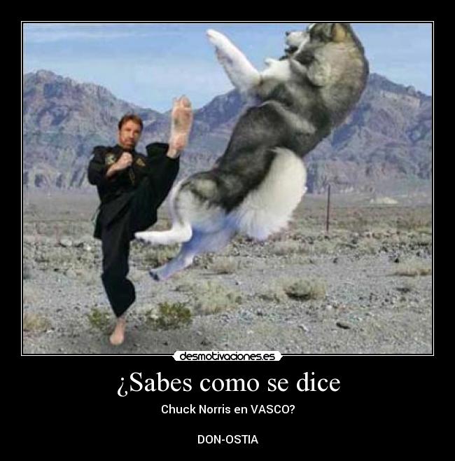 carteles donostias desmotivaciones