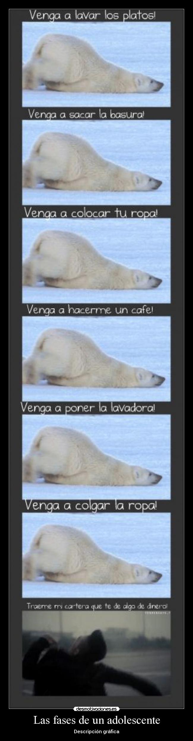 Las fases de un adolescente -