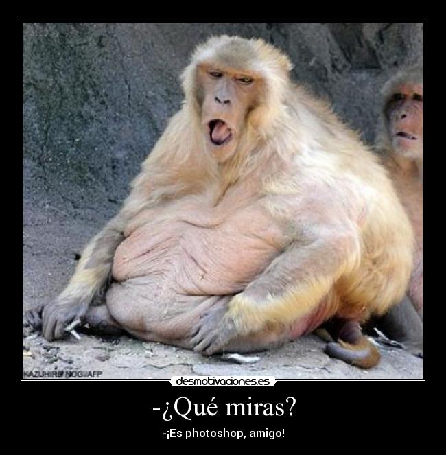 -¿Qué miras? - -¡Es photoshop, amigo!