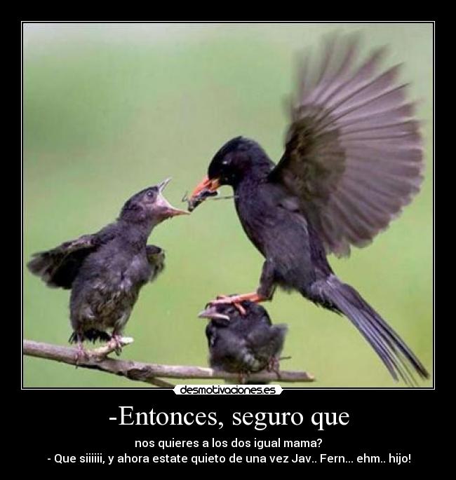 -Entonces, seguro que - nos quieres a los dos igual mama?
- Que siiiiii, y ahora estate quieto de una vez Jav.. Fern... ehm.. hijo!