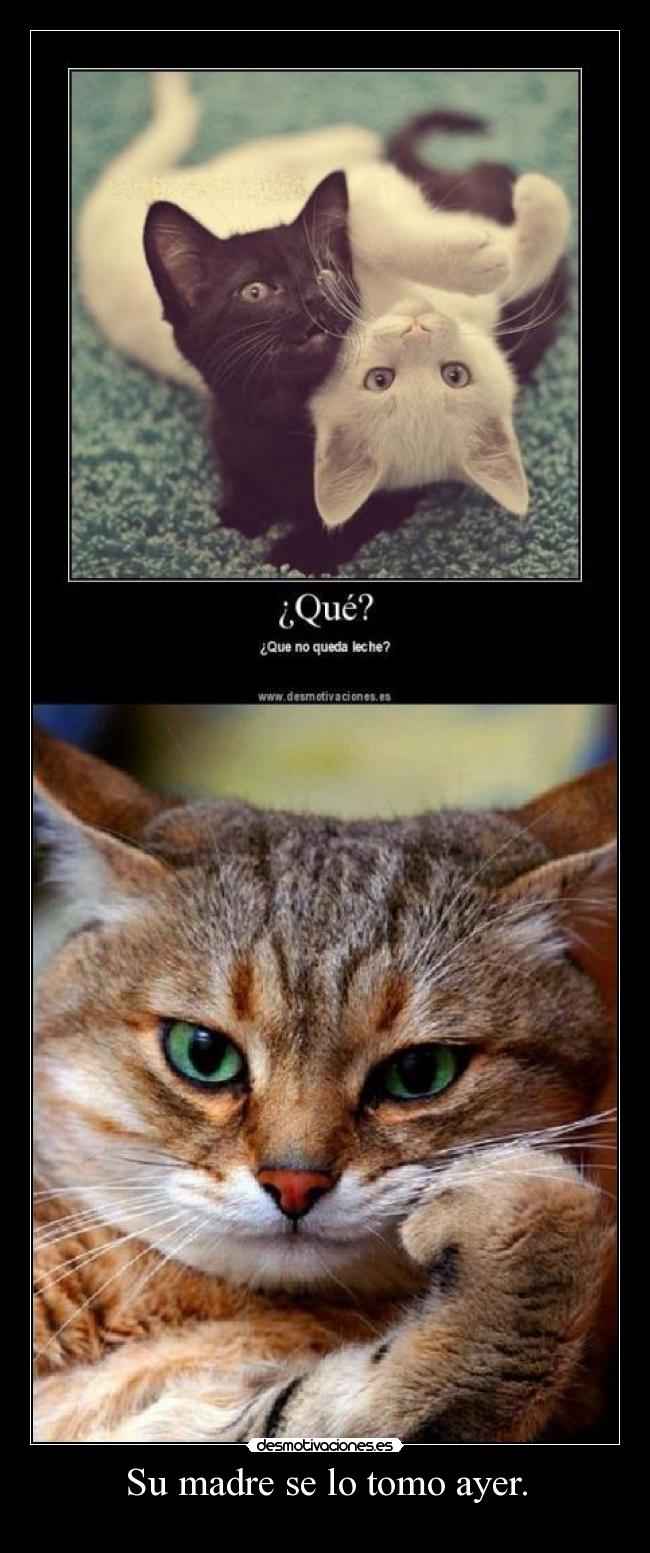 Su madre se lo tomo ayer. - 