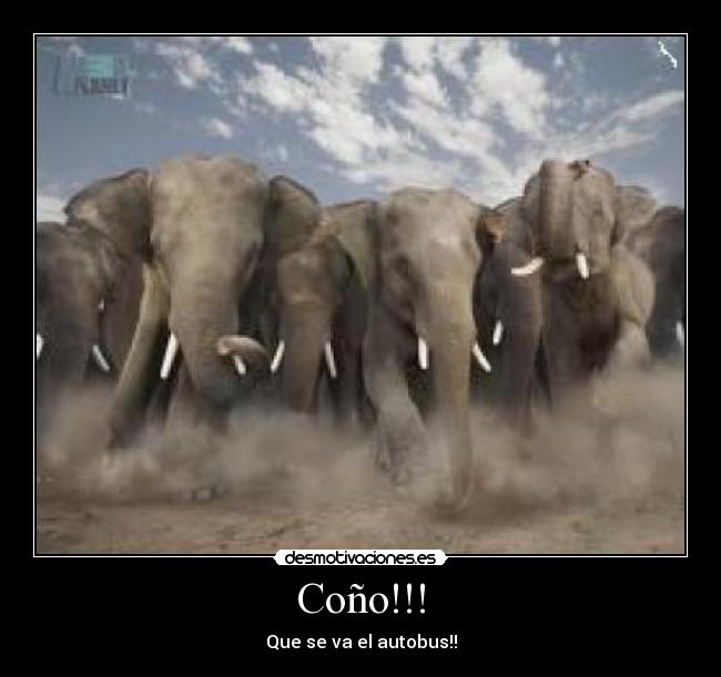 Coño!!! - Que se va el autobus!!