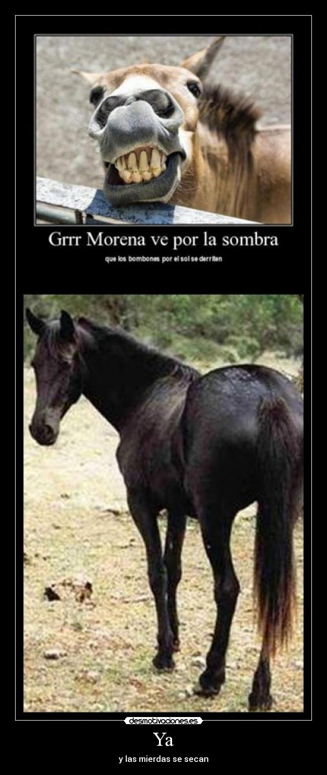 Ya - y las mierdas se secan