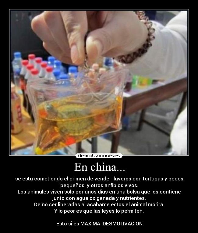 En china... -