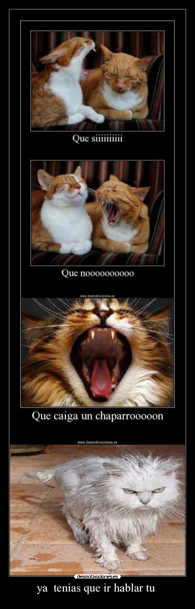 ya  tenias que ir hablar tu  - 