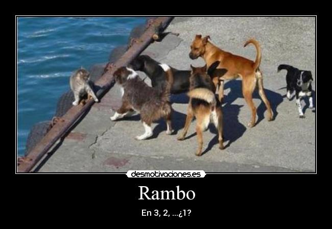 carteles rambo desmotivaciones