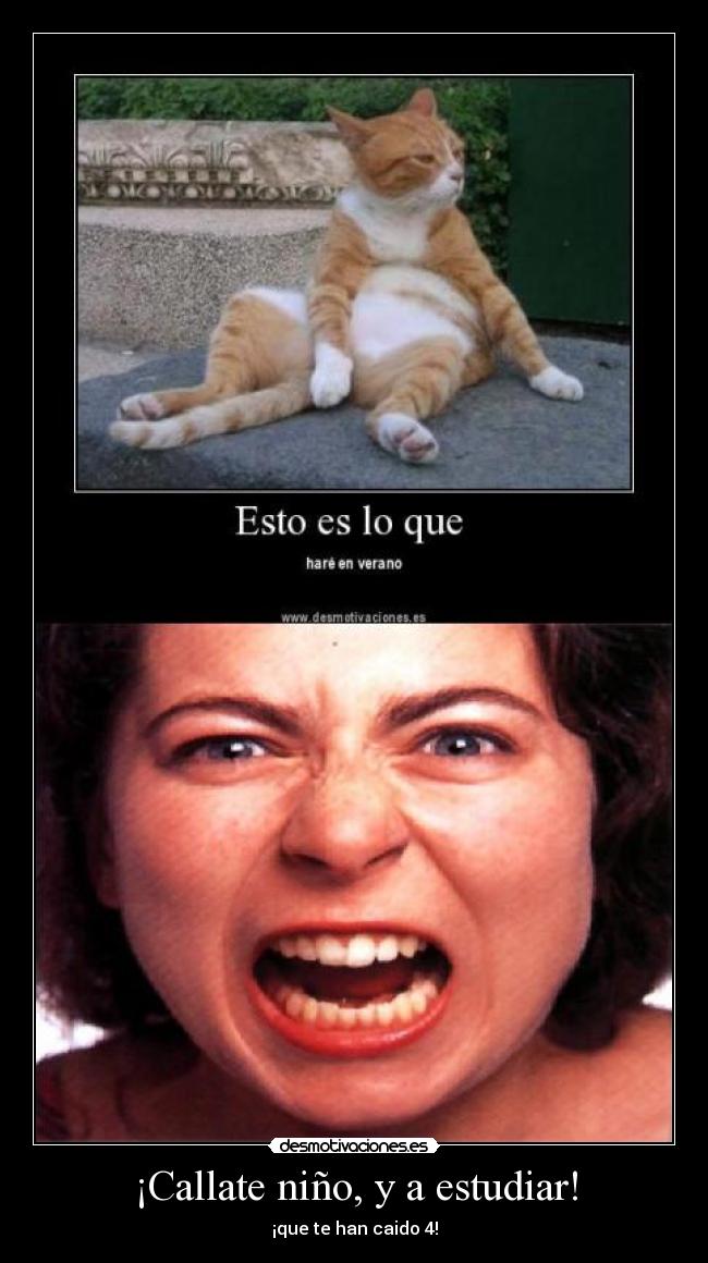 ¡Callate niño, y a estudiar! - ¡que te han caido 4!