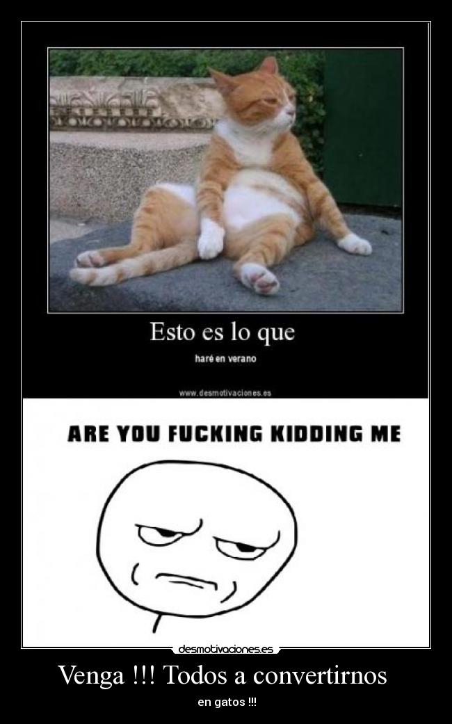 Venga !!! Todos a convertirnos  - 