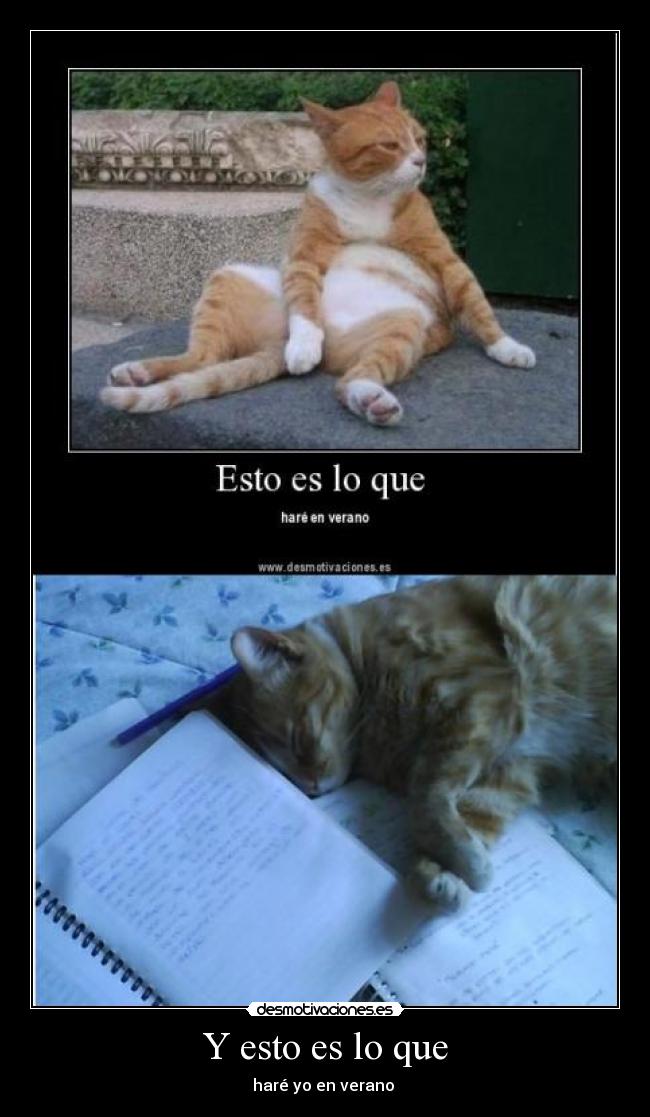 Y esto es lo que - haré yo en verano 