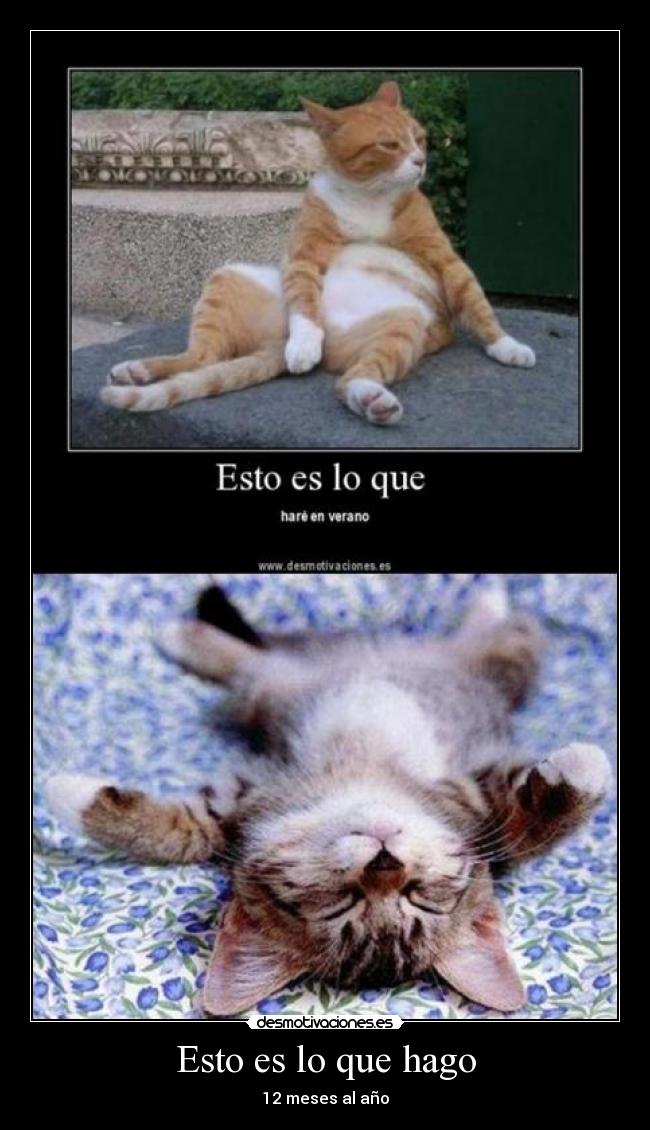 Esto es lo que hago -