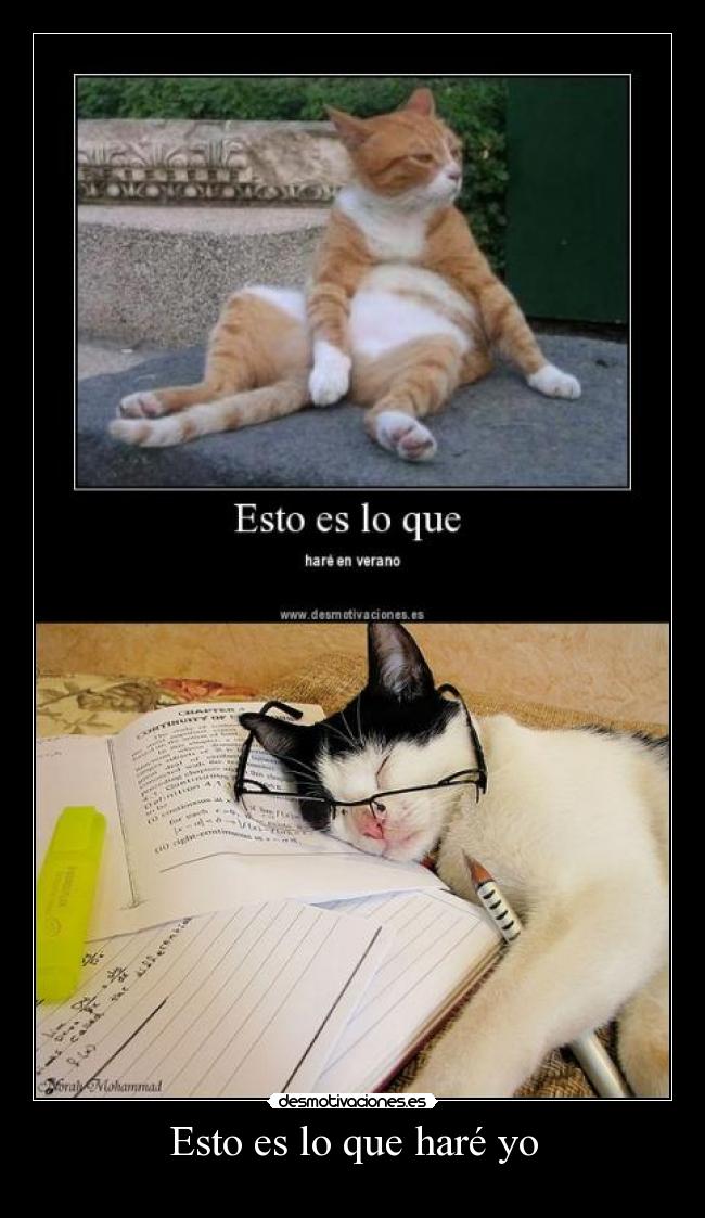 Esto es lo que haré yo -