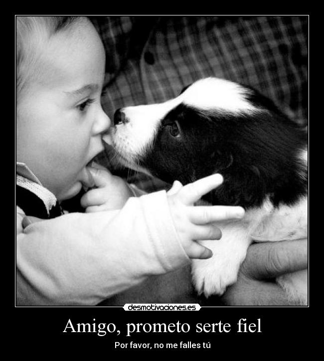 Amigo, prometo serte fiel -