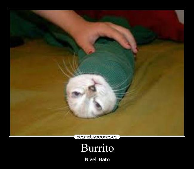 Burrito - 