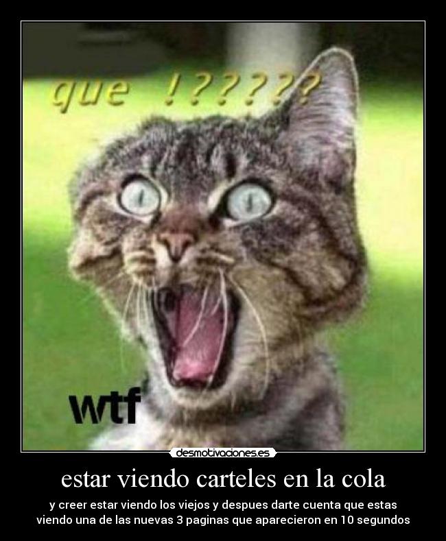 estar viendo carteles en la cola - y creer estar viendo los viejos y despues darte cuenta que estas
viendo una de las nuevas 3 paginas que aparecieron en 10 segundos