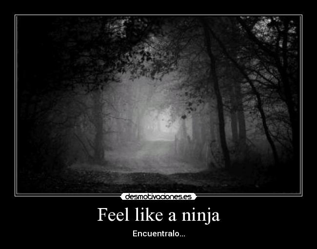 Feel like a ninja - Encuentralo...