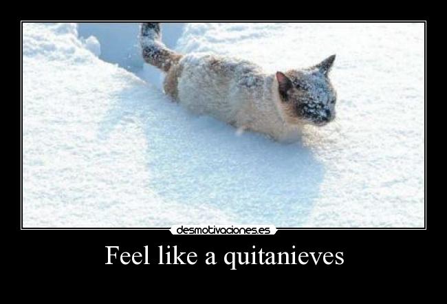 Feel like a quitanieves - 