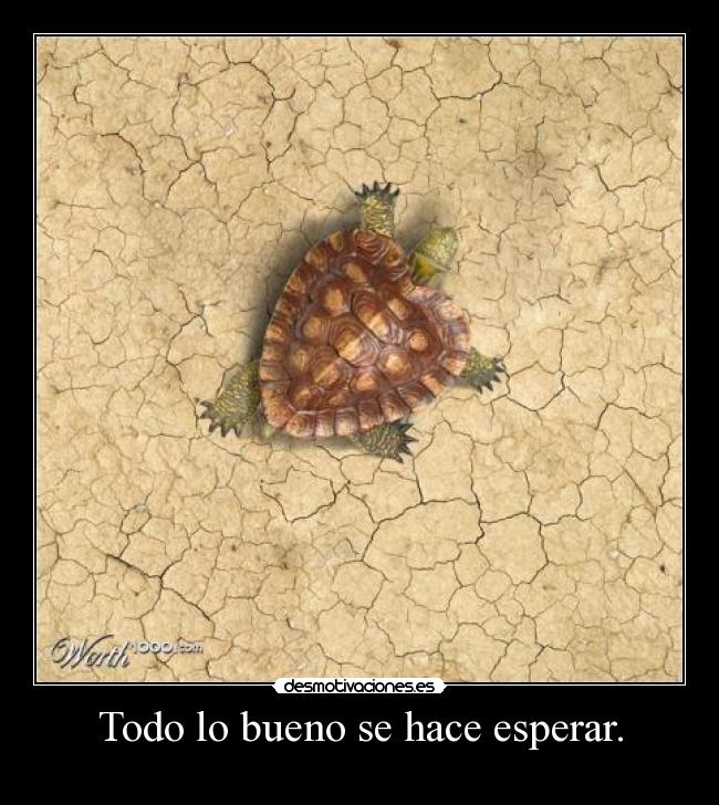 Todo lo bueno se hace esperar. -