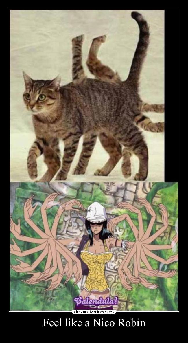 carteles desmotivaciones