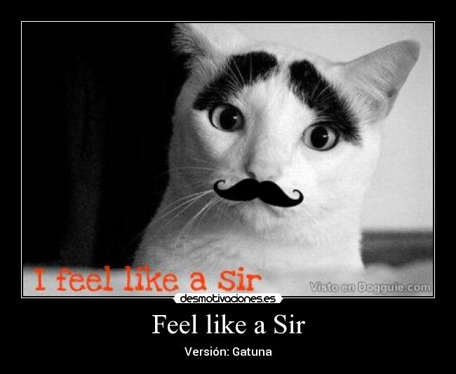 Feel like a Sir - 