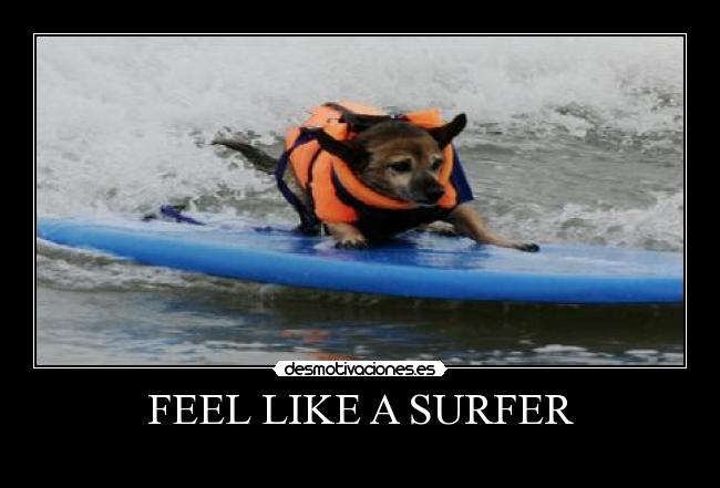 FEEL LIKE A SURFER - 