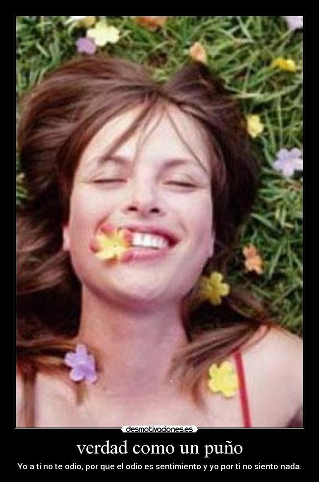 carteles verdad desmotivaciones