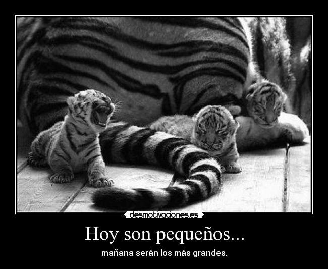 Hoy son pequeños... -