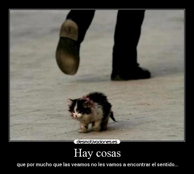 Hay cosas - que por mucho que las veamos no les vamos a encontrar el sentido...