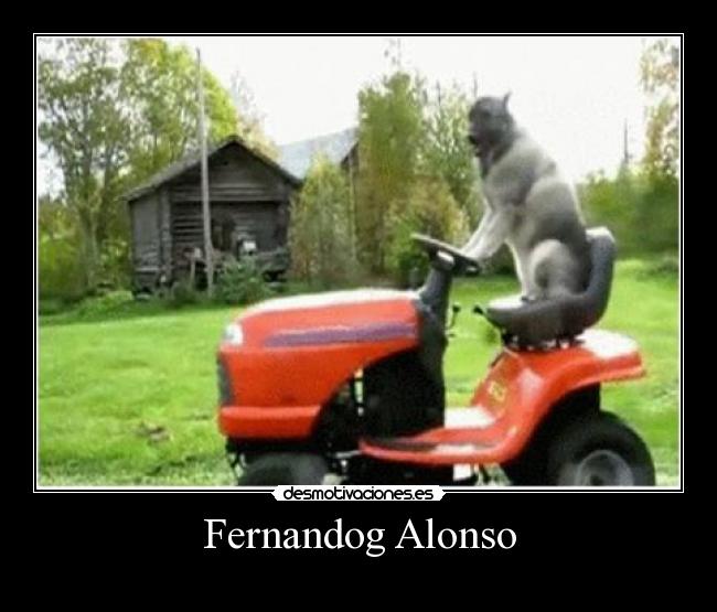 Fernandog Alonso - 