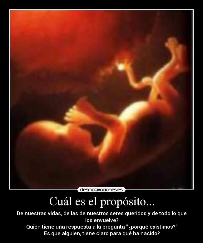 Cuál es el propósito... - De nuestras vidas, de las de nuestros seres queridos y de todo lo que los envuelve?
Quién tiene una respuesta a la pregunta ¿porqué existimos?
Es que alguien, tiene claro para qué ha nacido?