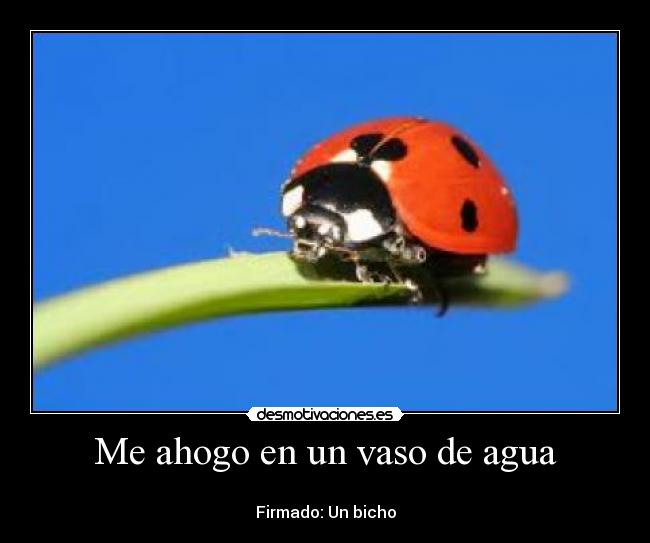 Me ahogo en un vaso de agua -