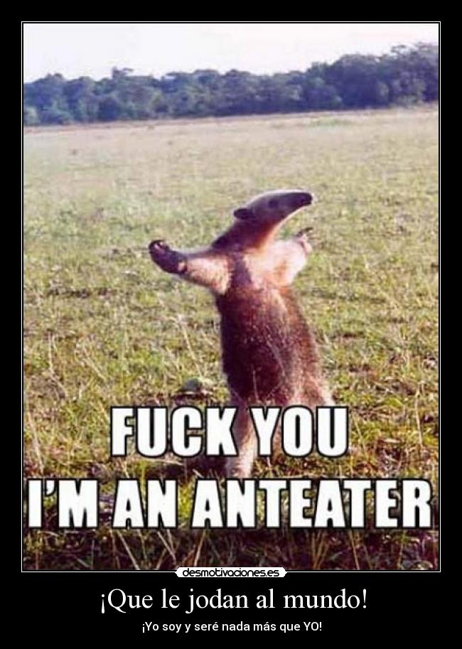 ¡Que le jodan al mundo! - ¡Yo soy y seré nada más que YO!