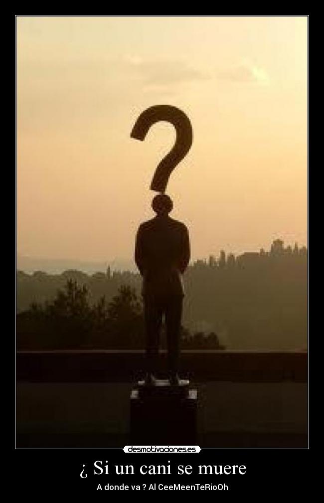 ¿ Si un cani se muere - A donde va ? Al CeeMeenTeRioOh