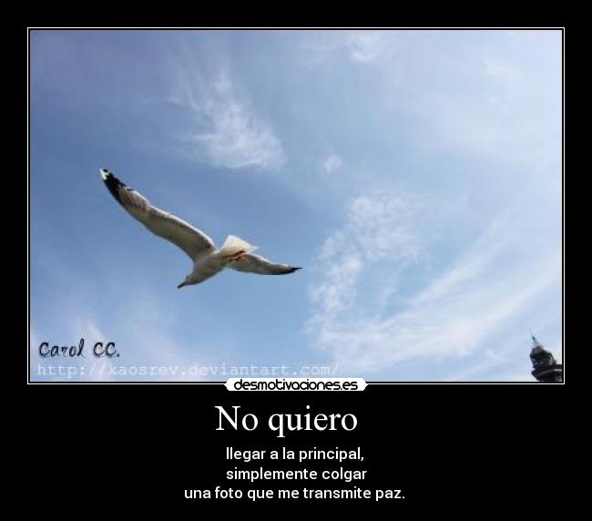 No quiero - llegar a la principal,
simplemente colgar
una foto que me transmite paz.