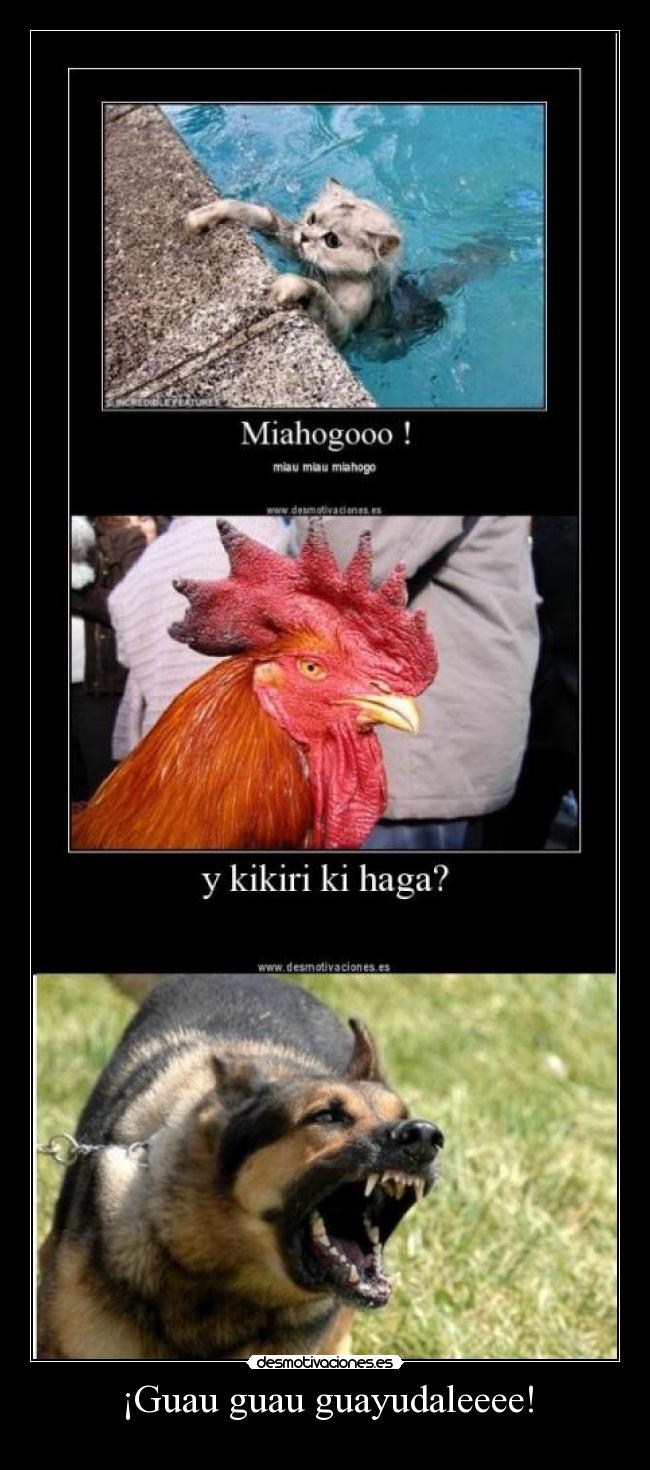 ¡Guau guau guayudaleeee! - 