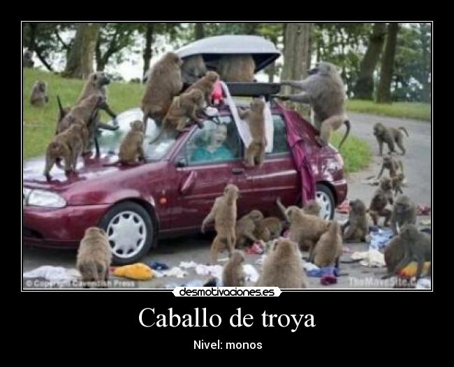 Caballo de troya - Nivel: monos