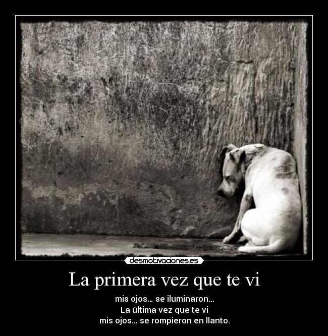 La primera vez que te vi - mis ojos… se iluminaron...
La última vez que te vi
mis ojos… se rompieron en llanto.