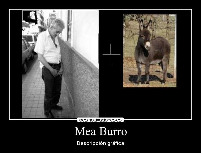 carteles xdd desmotivaciones