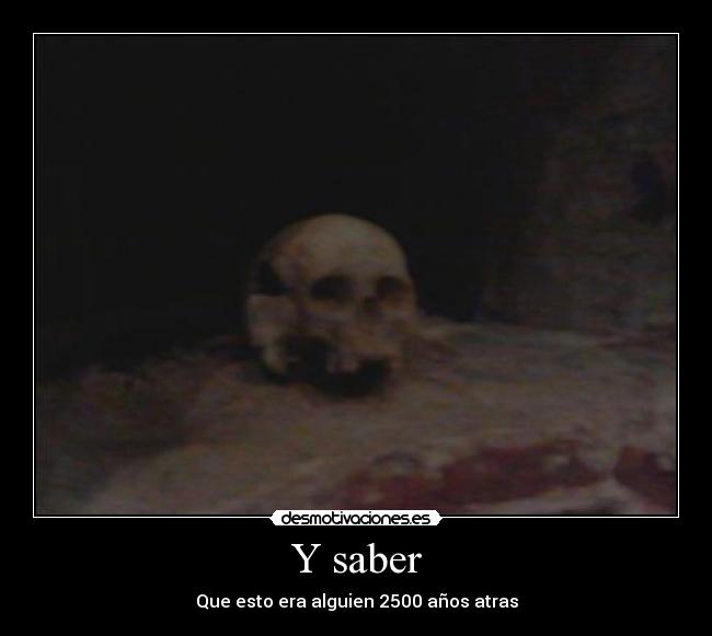 Y saber - 