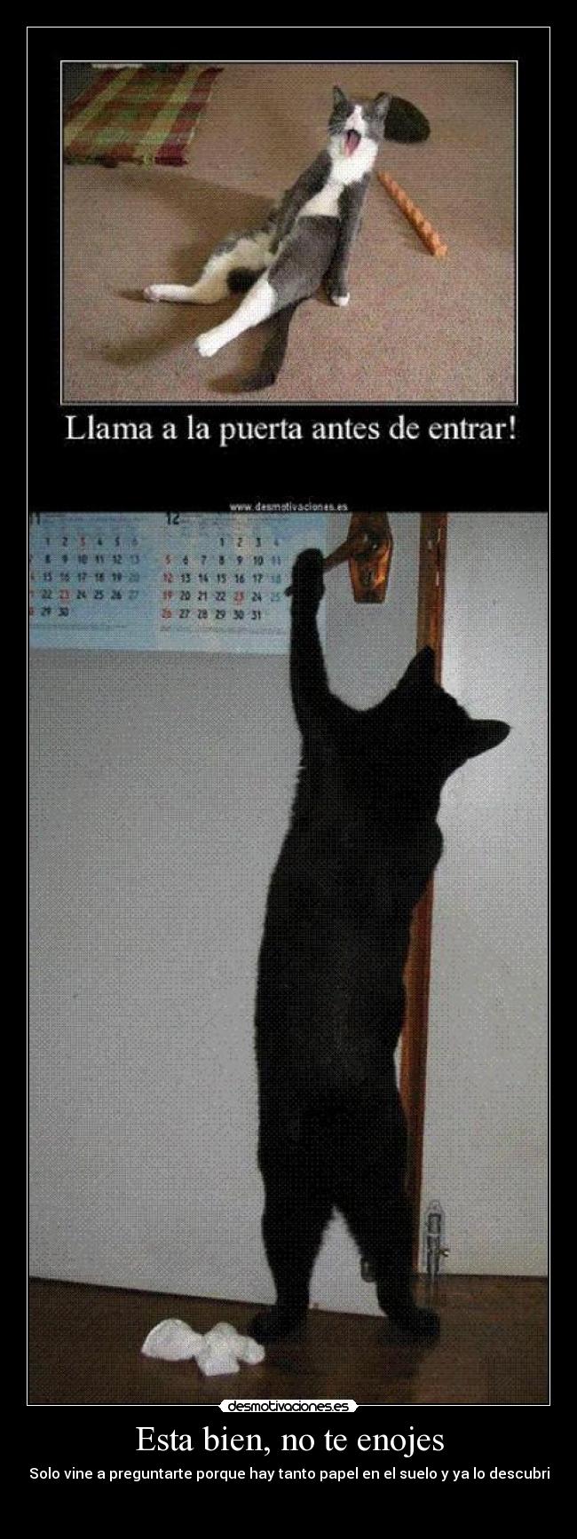 Esta bien, no te enojes - Solo vine a preguntarte porque hay tanto papel en el suelo y ya lo descubri

