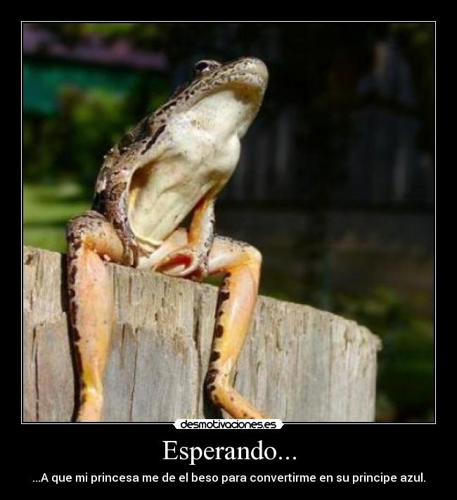 Esperando... - 