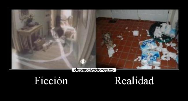 Ficción                Realidad - 
