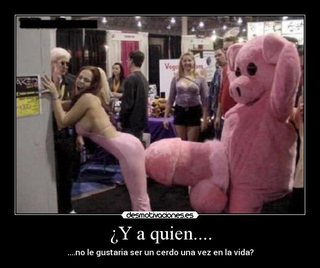 ¿Y a quien.... - ....no le gustaria ser un cerdo una vez en la vida?