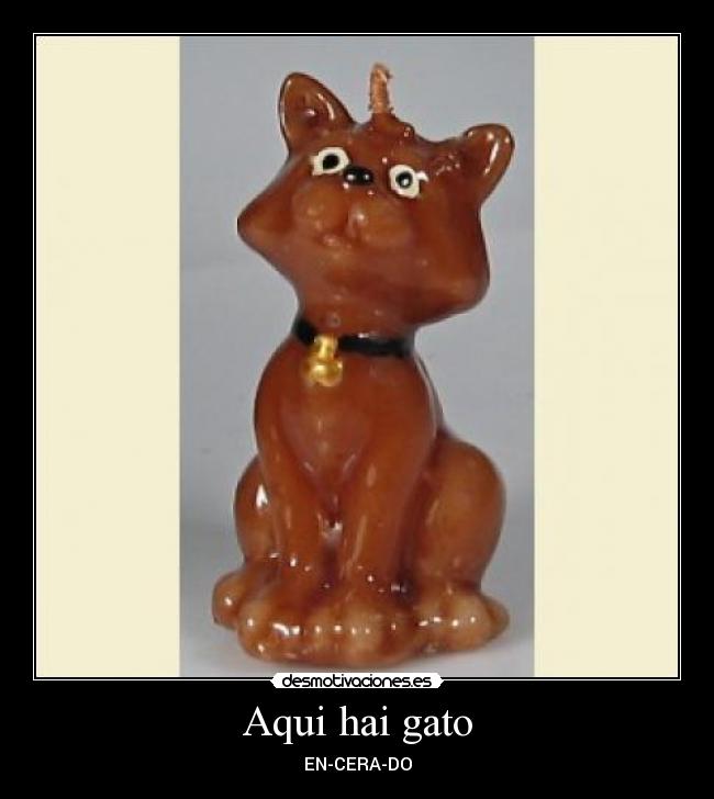 Aqui hai gato -