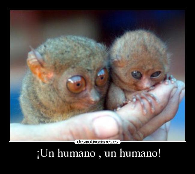 ¡Un humano , un humano! -