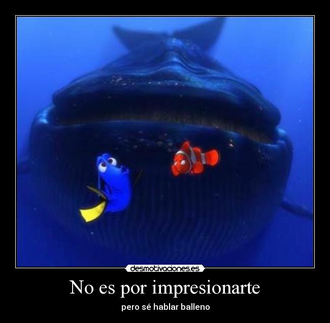 carteles dori balleno caetaceo idioma guiri desmotivaciones