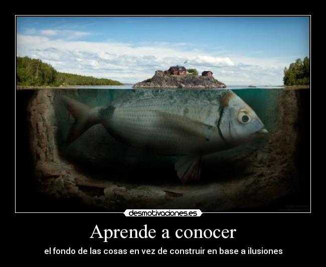 Aprende a conocer - el fondo de las cosas en vez de construir en base a ilusiones