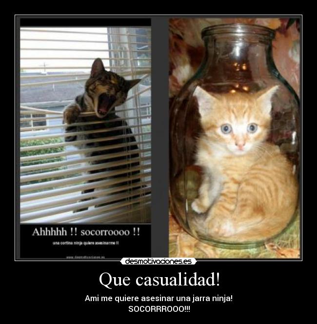 Que casualidad! - 