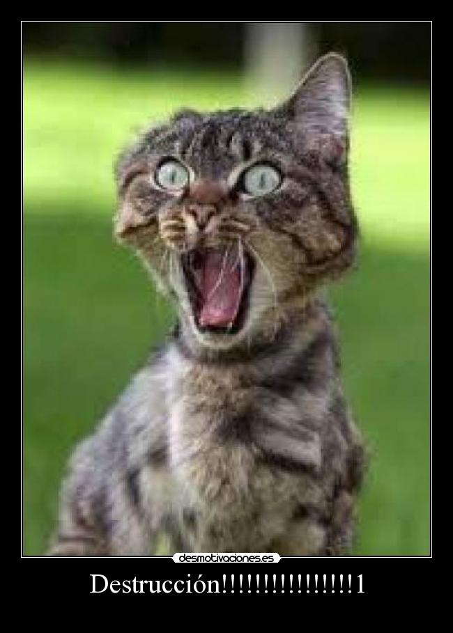 carteles gato destruccion desmotivaciones